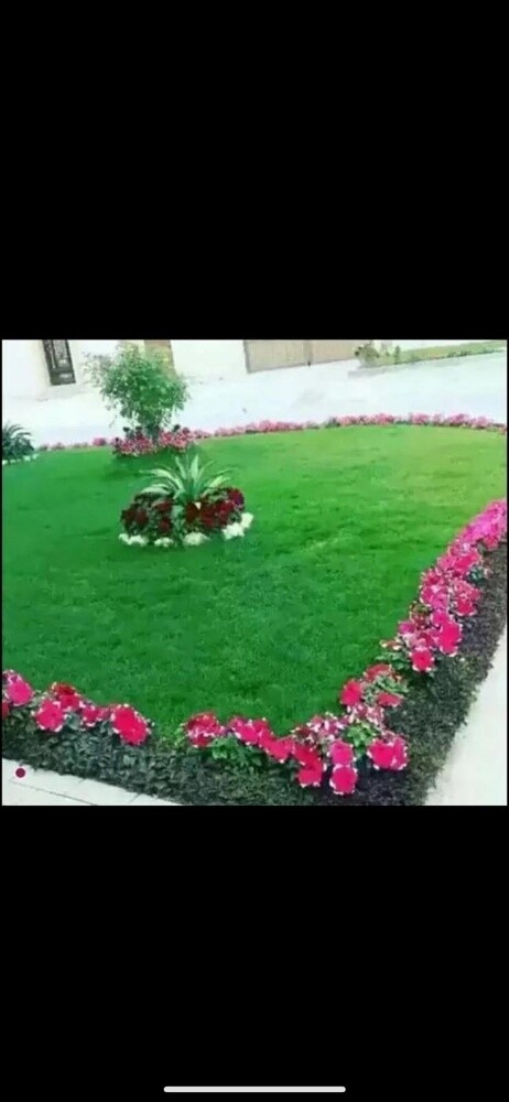 الجلسه المودرن والمظلات والسواتر - 23