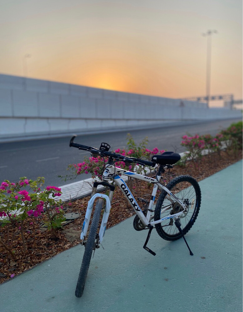 bicycle - 2