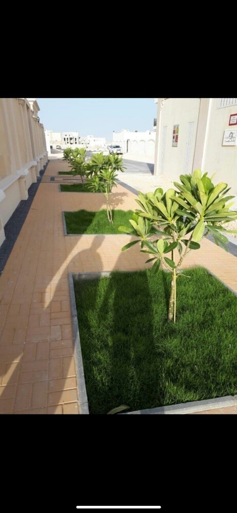 العناية بالحداق - 20