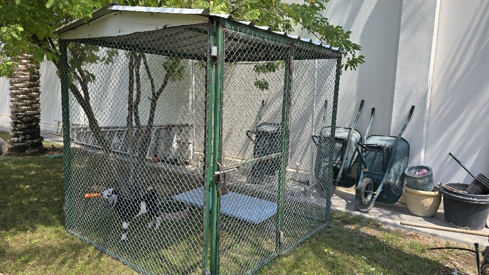pigeon cage 3/3 - 4