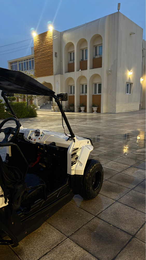 Polaris RZR 170cc - 4