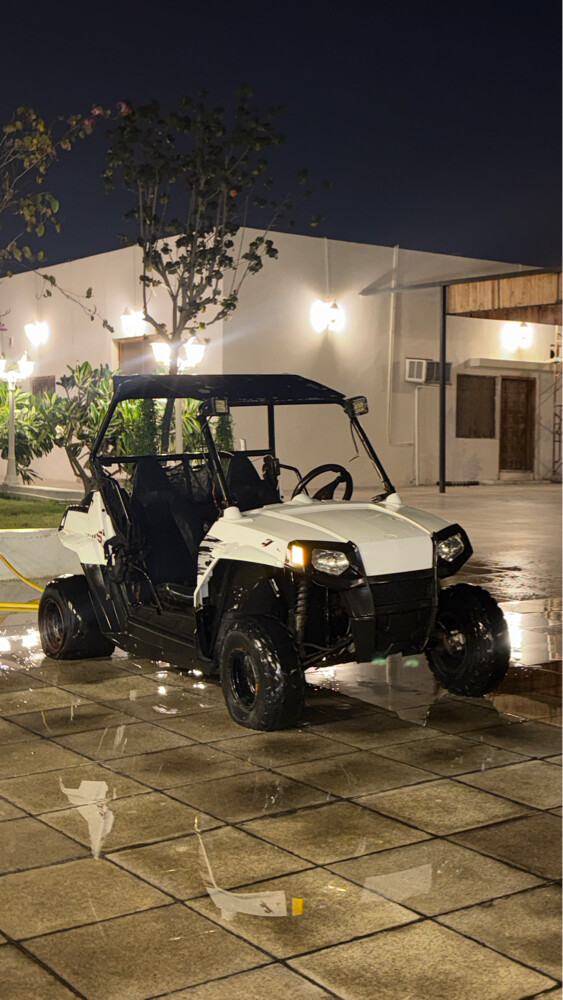 Polaris RZR 170cc - 1