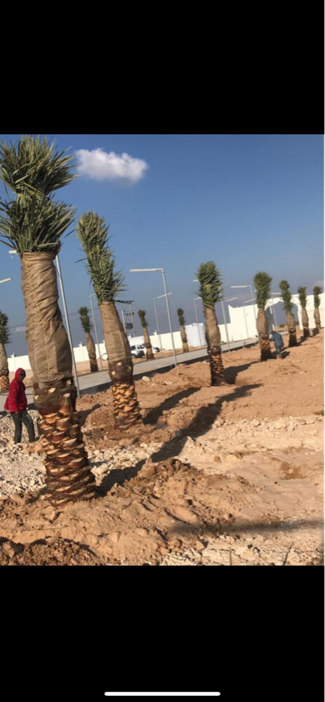 الديكور والعنايه بالحدائق - 19