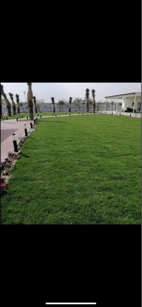الديكور والعنايه بالحدائق - 15