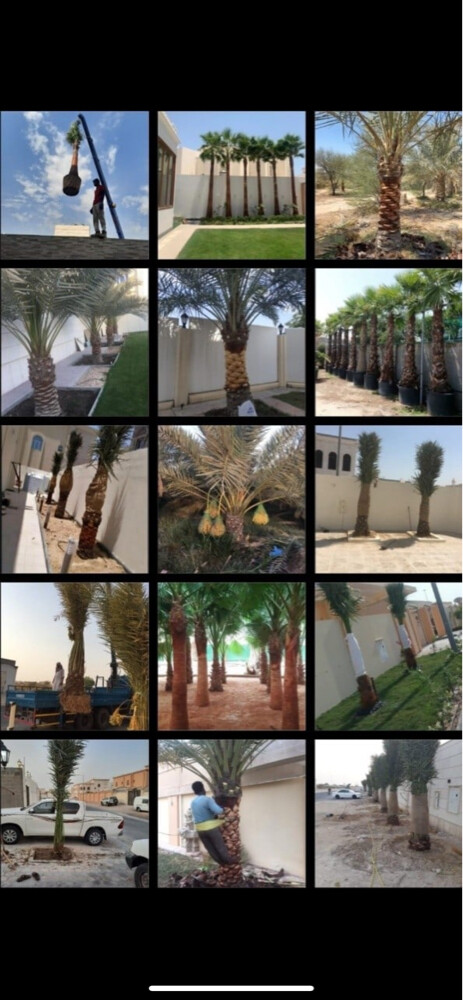 الديكور والعنايه بالحدائق - 8