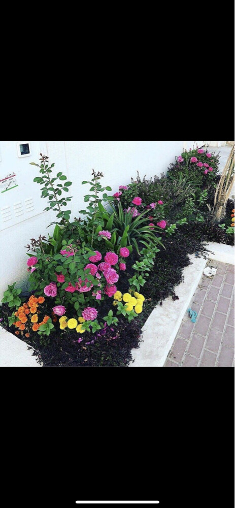 الديكور والعنايه بالحدائق - 18