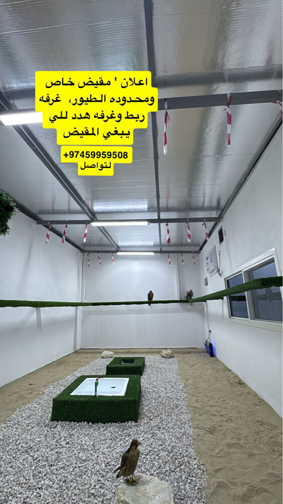 مقيض - 1