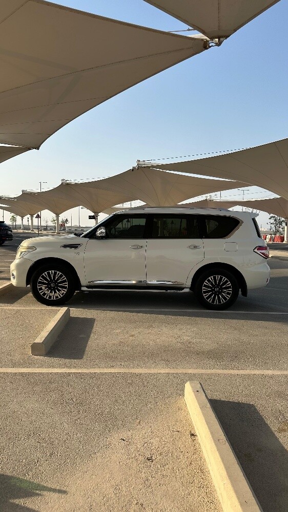 Nissan petrol platinum 2010 - 1