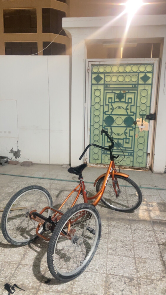 3 tires cycle - 2