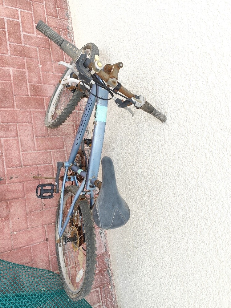 bicycle - 2