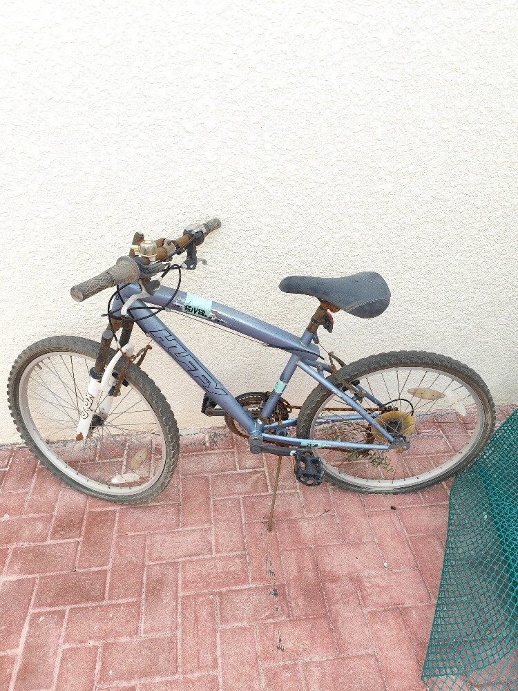 bicycle - 1