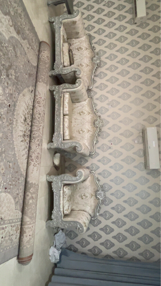 الصامل بنراعيه - 3