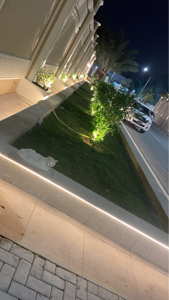 مجموعة بن عجلان الدوليه  - 3