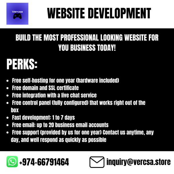 Professional Website Development - 1