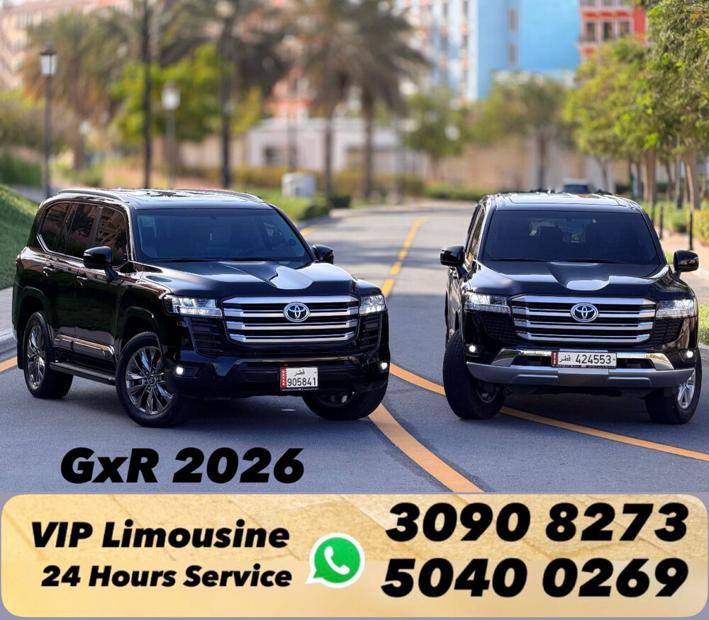 vip limousine  - 2