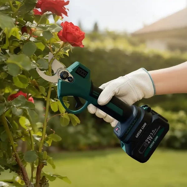 Green Lion Electric Pruning - 2