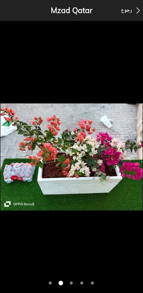 مزراع ومنسق حدائق - 3