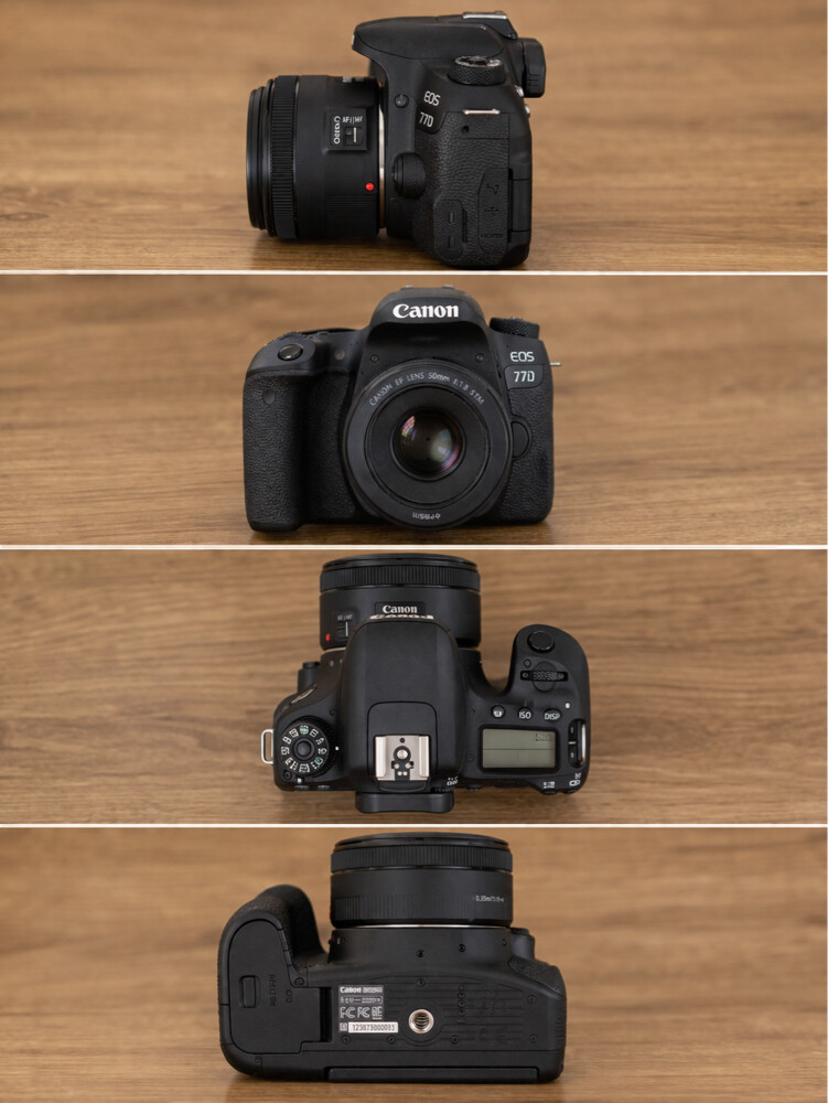 canon 77d with 50mm - 3