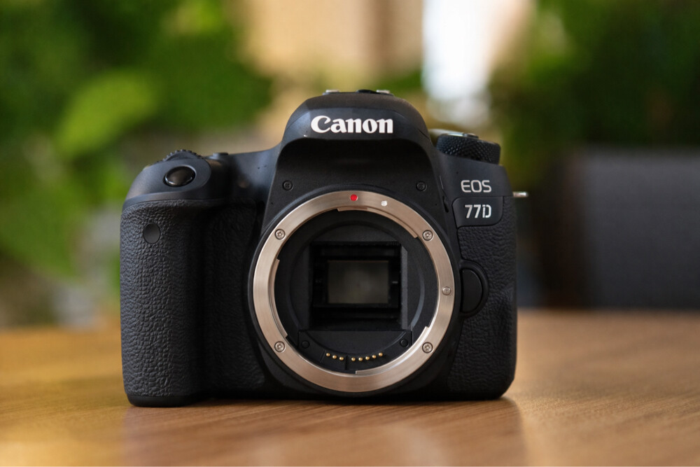 canon 77d with 50mm - 2