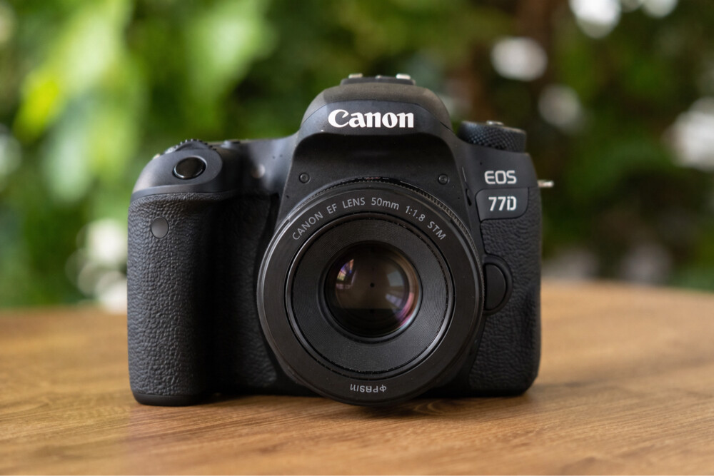canon 77d with 50mm - 1