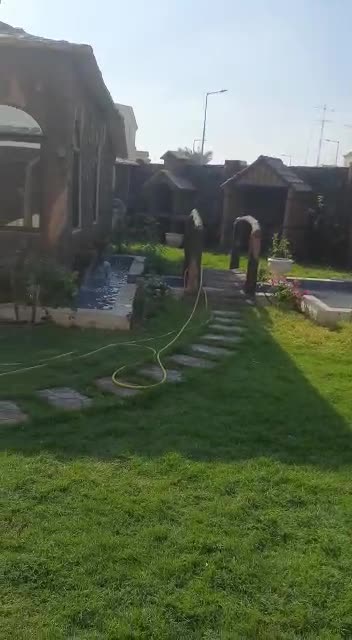 زراعه وسينه شهريه - 1