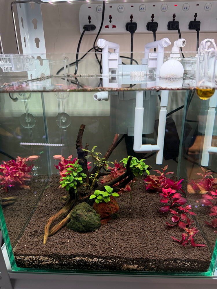 Custom Design Aquarium Tanks - 3