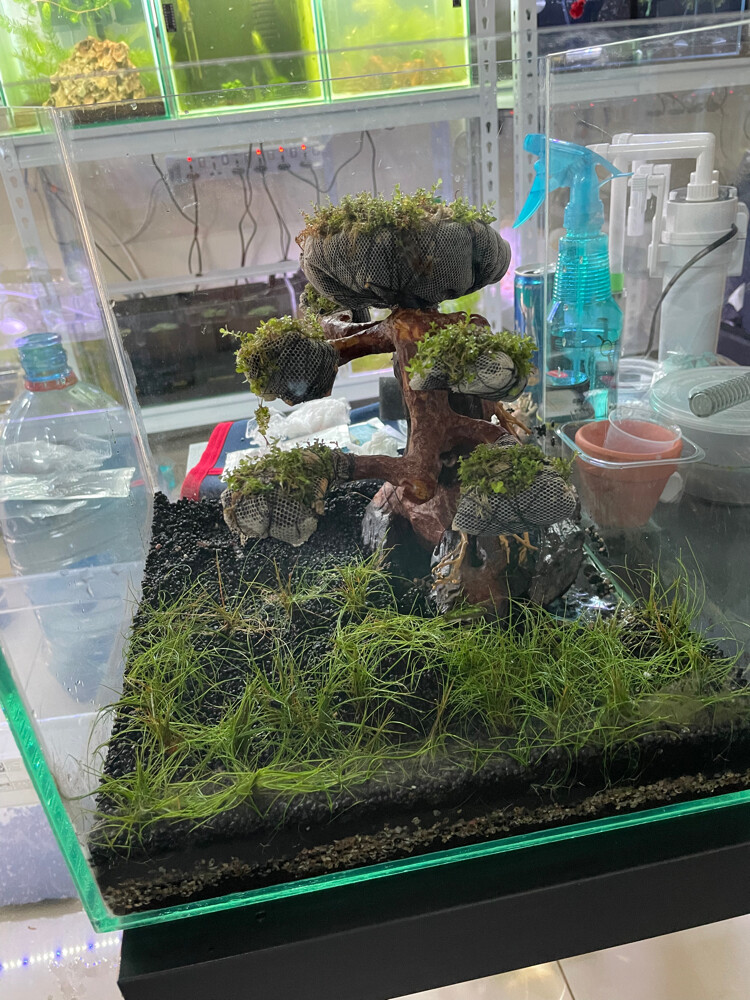 Custom Design Aquarium Tanks - 5