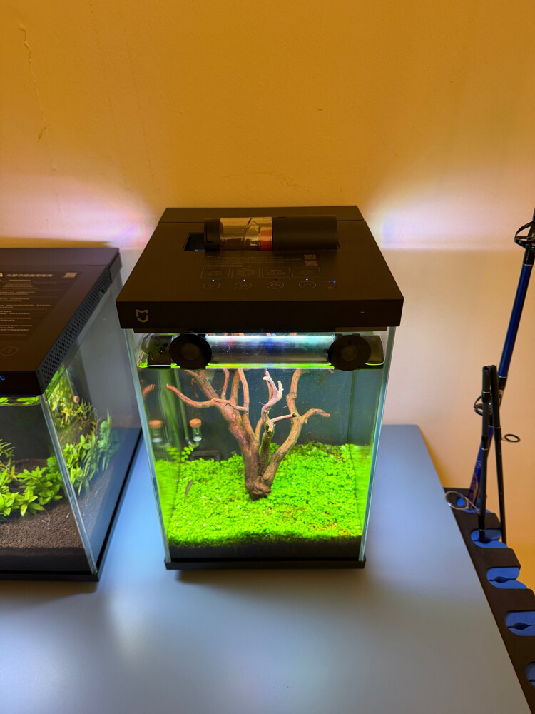 Custom Design Aquarium Tanks - 2
