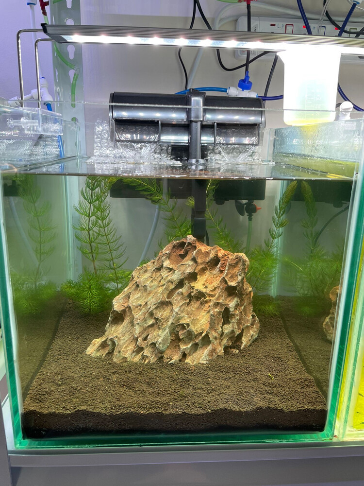 Custom Design Aquarium Tanks - 8