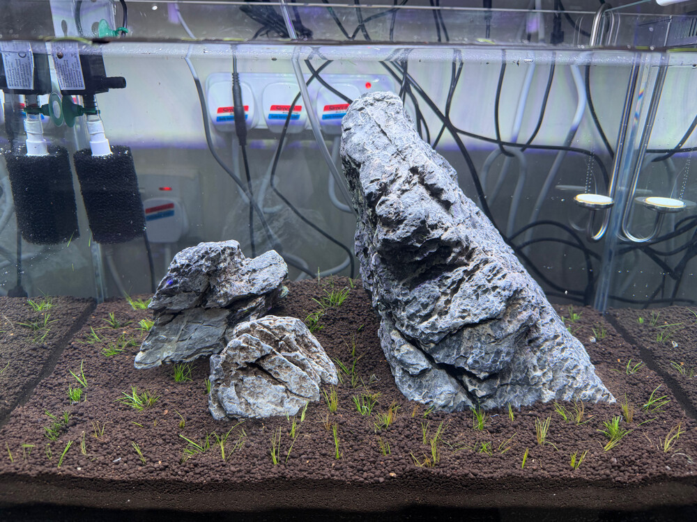 Custom Design Aquarium Tanks - 4