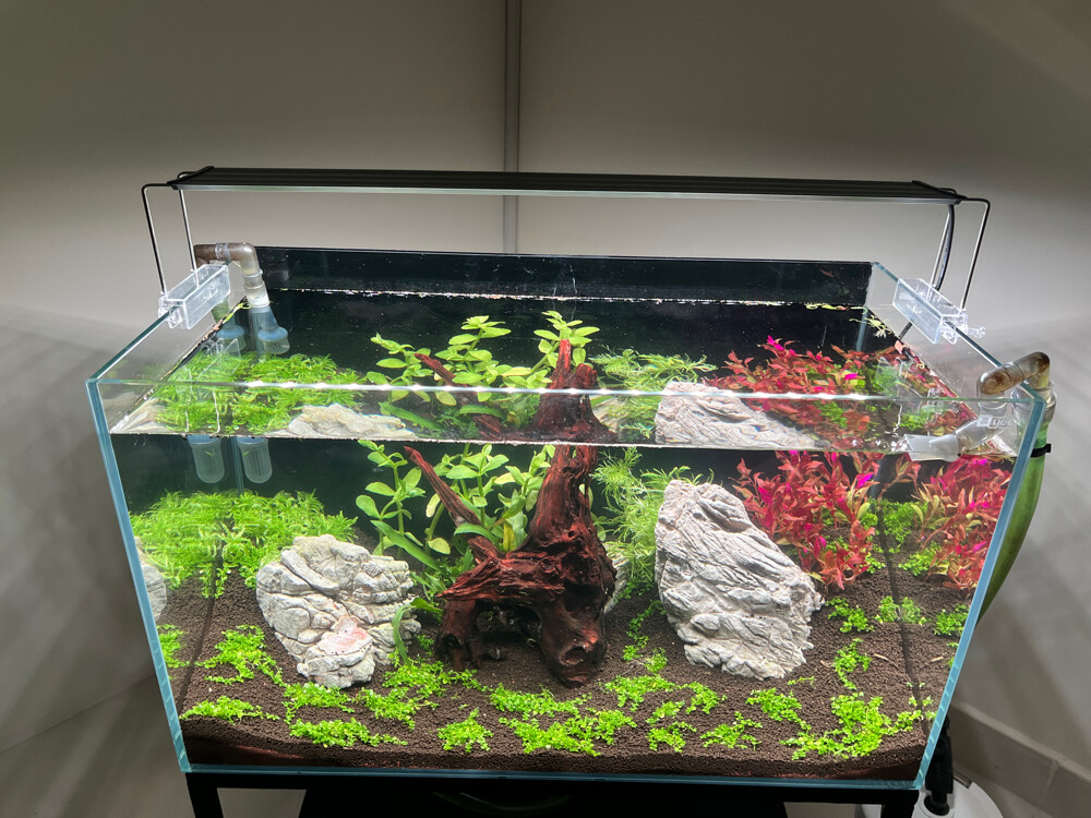 Custom Design Aquarium Tanks - 1