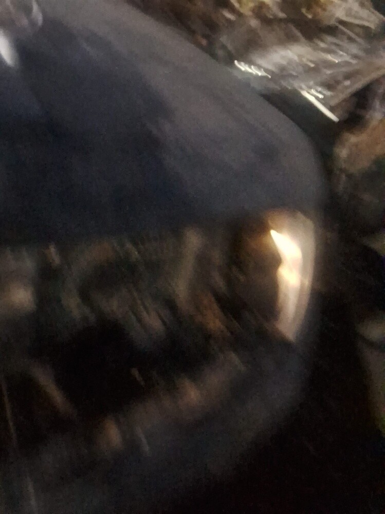 باجيرو ٢٠٠٨ - 4