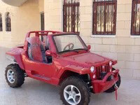 مطلوب جيب صيني  - 1