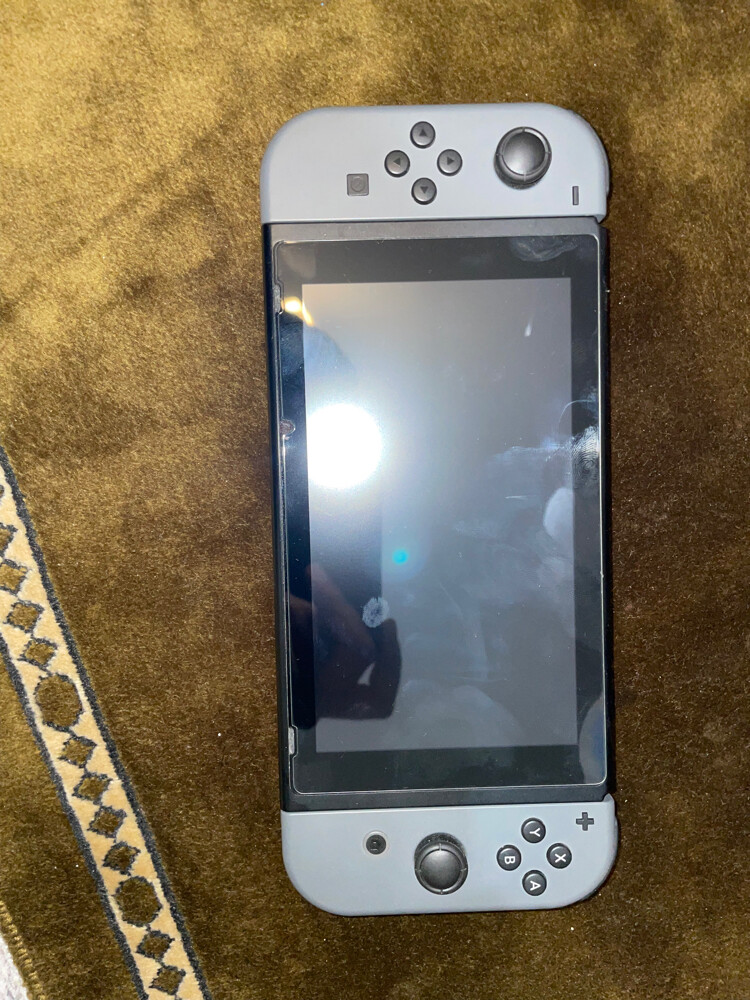 Nintendo switch (not oled) - 5