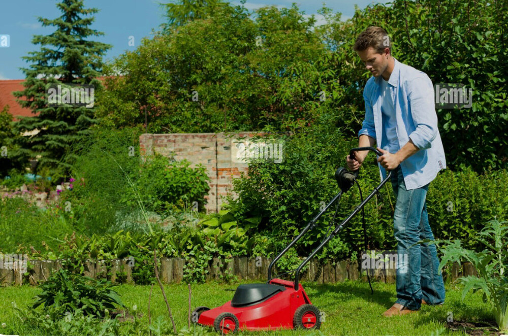 landscaping and gardening solution - 2