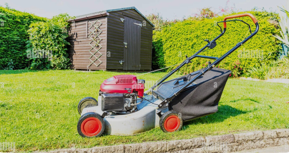 landscaping and gardening solution - 6