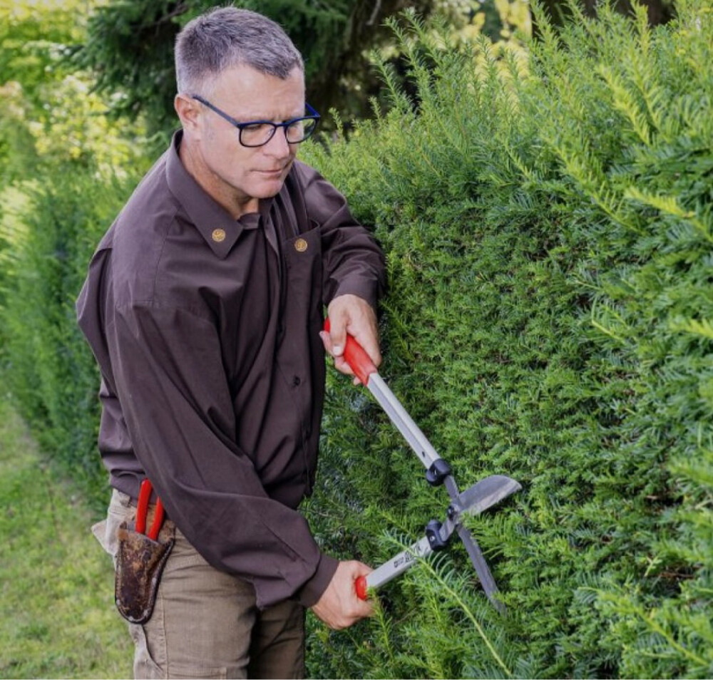 landscaping and gardening solution - 3