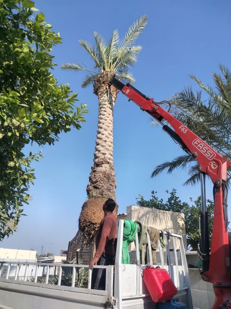 سياره مع كرين للايجار - 1