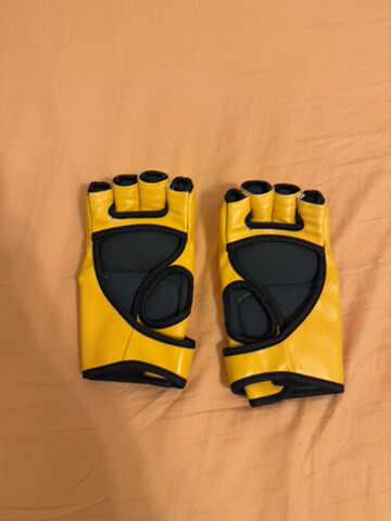 mma boxing gloves - 2
