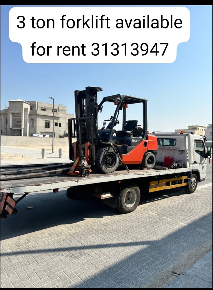 Forklift for Rent.31313947 - 7