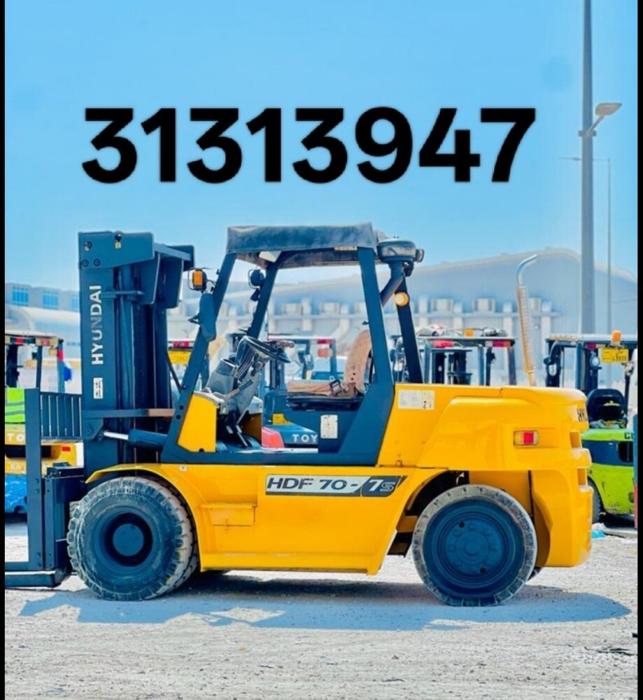 Forklift for Rent.31313947 - 3