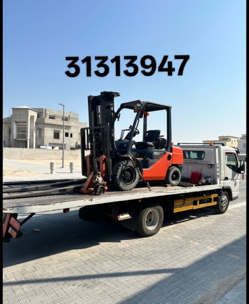 Forklift for Rent.31313947 - 2