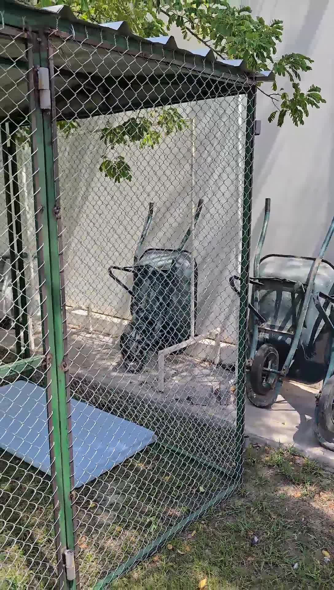 chicken coop 2/2 - 1
