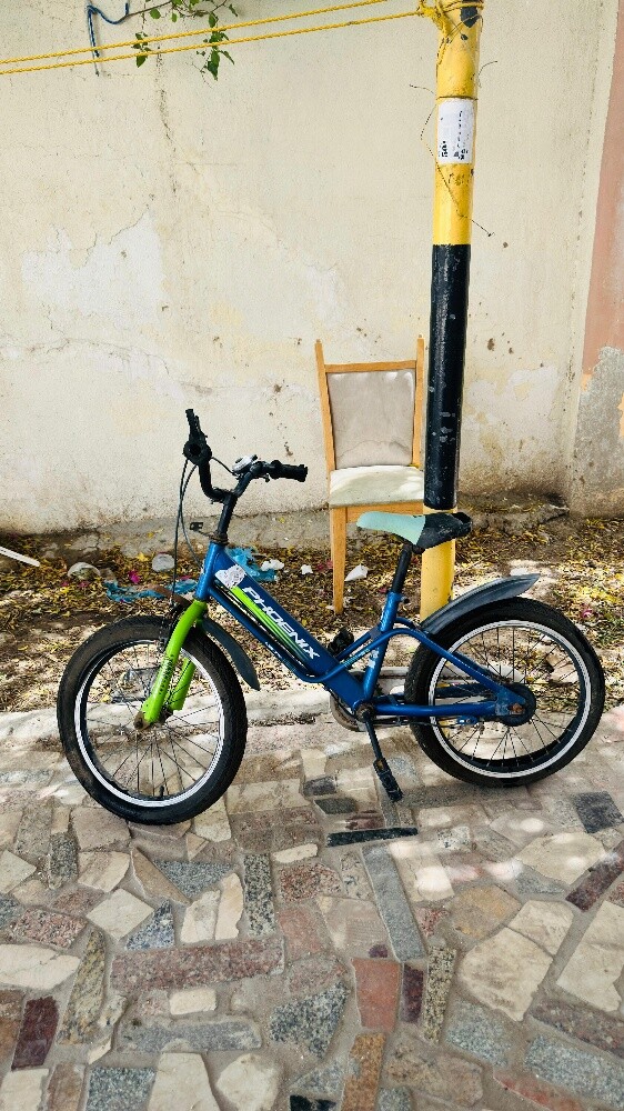Phoenix kids cycle - 1