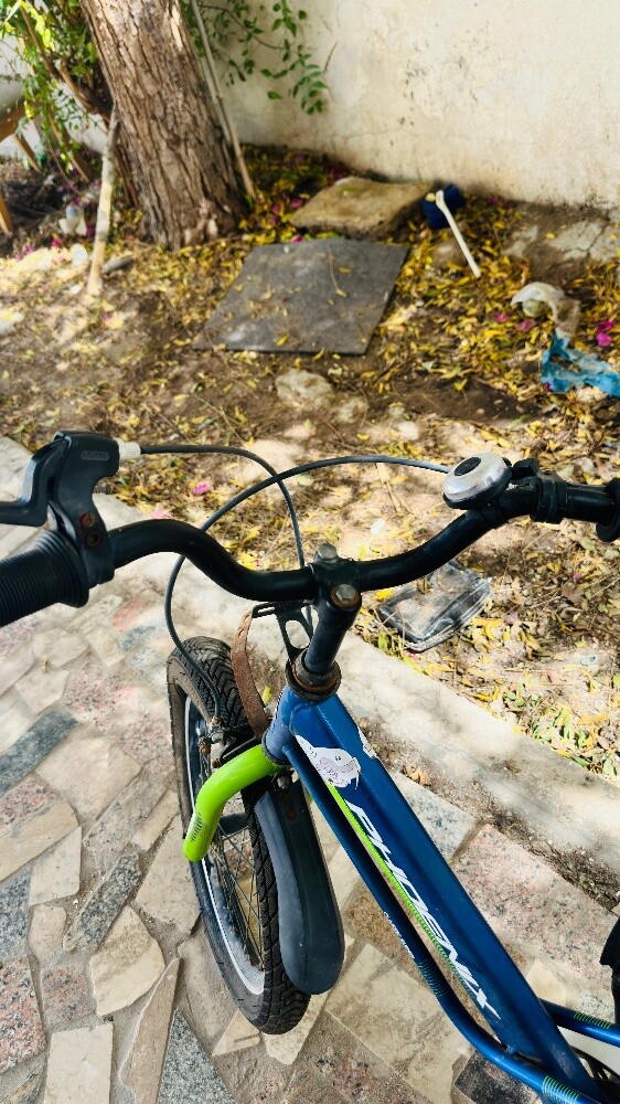 Phoenix kids cycle - 4