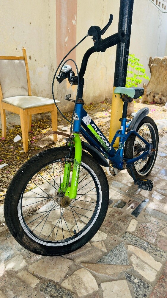 Phoenix kids cycle - 3