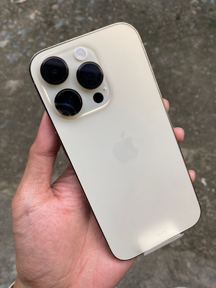 for sale - 5