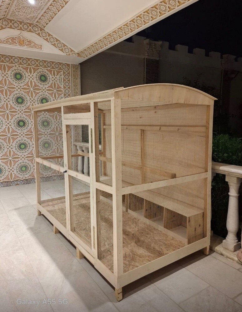 dog house - 5
