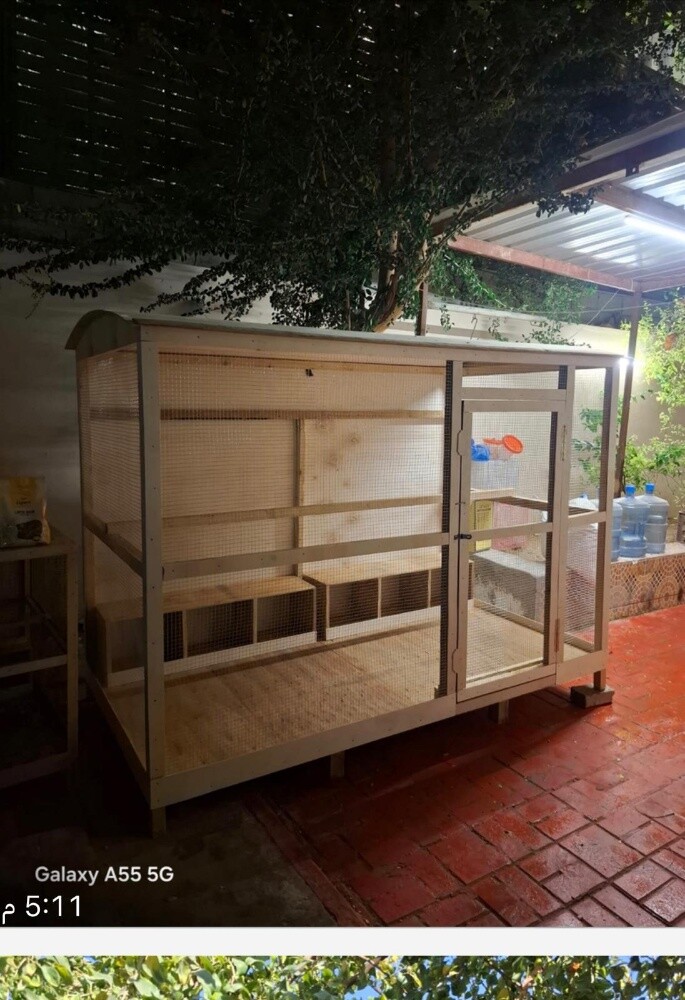 dog house - 6