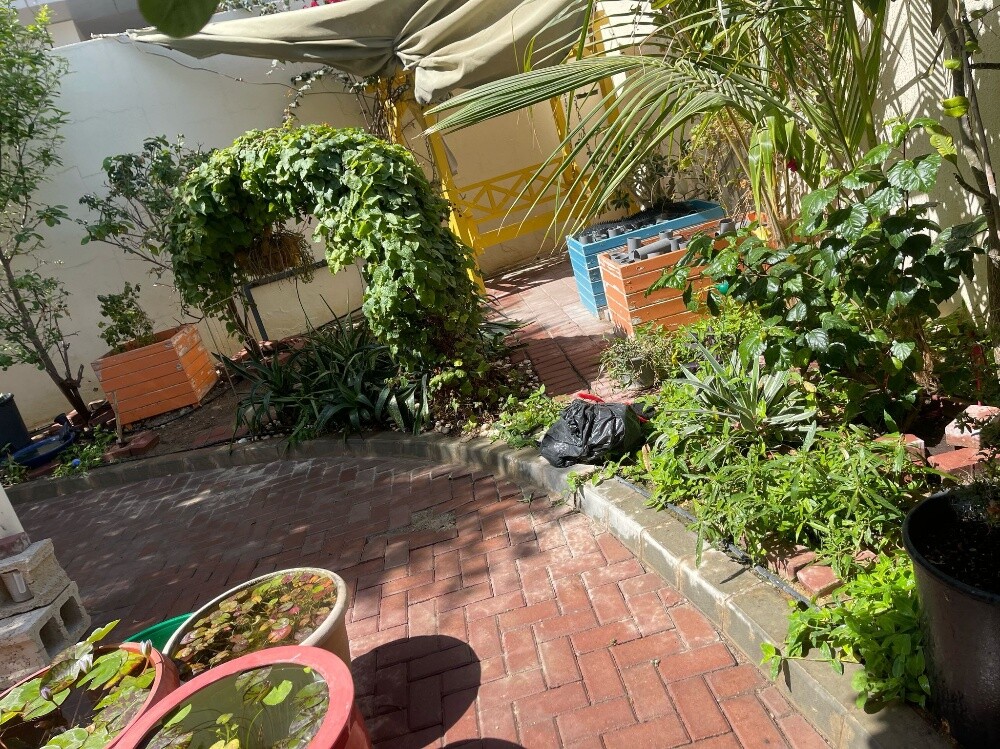 Albalushi - 2